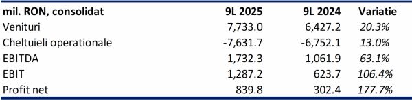 TradeVille: Electrica - disciplină financiară pentru menţinerea performanţei